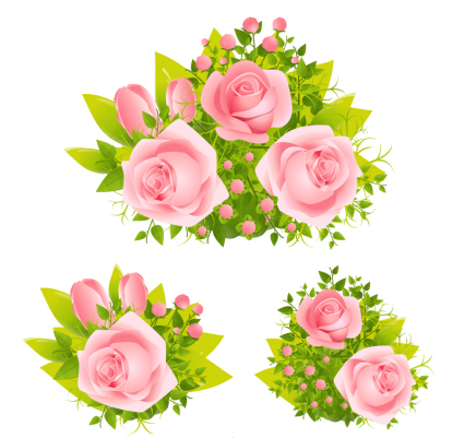 Group 3 beautiful pink roses vector material
