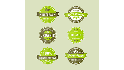 6 green organic food label vector material