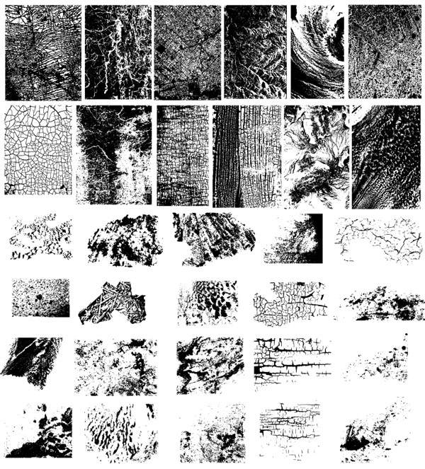 gomedia Chupin texture vector 