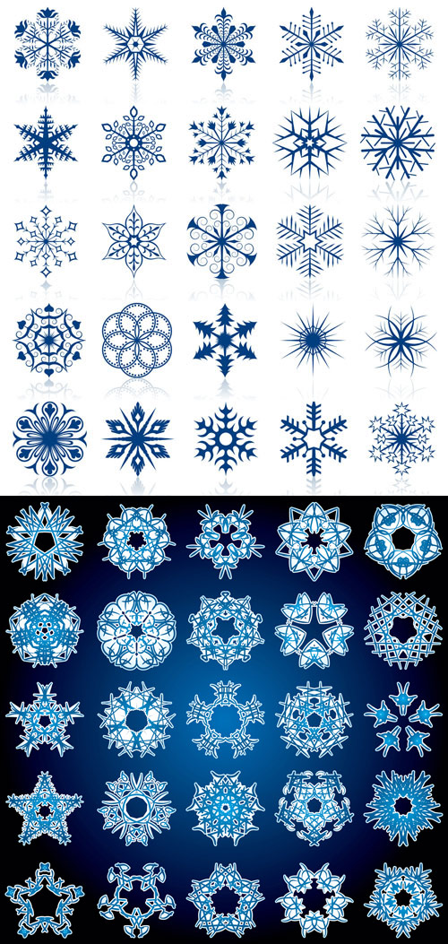 Exquisite pattern - Vector