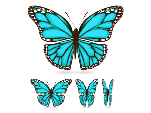 Beautiful butterfly material 03 - vector