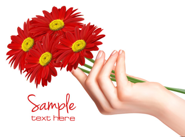 Chrysanthemum 02 - vector material