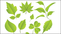 Leaves material 02 - vector material