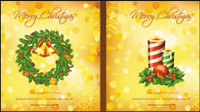 Beautiful Christmas elements 05 - vector material