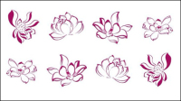 Zhang Daqian style lotus line drawing material