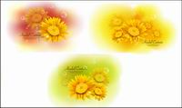 Yellow Chrysanthemum dimorphotheca Vector Materials