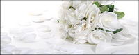 White rose petals and bouquets