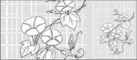 Vector line drawing of flowers-26(Morning glory, lattice background)
