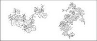 Line drawing of flowers -6
