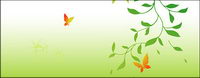 Pictures of green branches and Butterfly