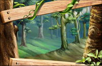 Wood, trees, leaves, rattan plant