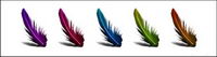 Colored feathers series icon png