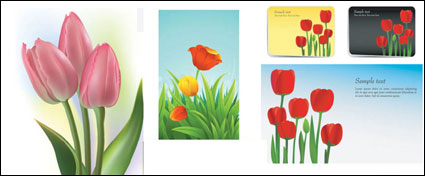 Tulips vector of material