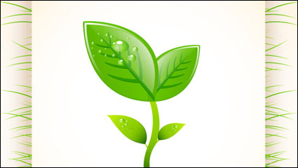 Environmentally friendly material layout design 05 - vector