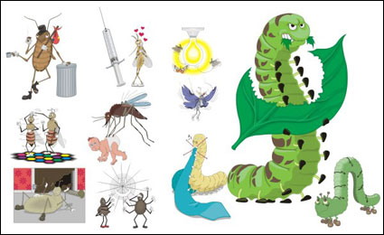 Mosquitoes, cockroaches, spiders, spider