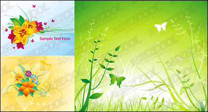 butterfly flower plant