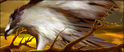 Hawks psd layered material