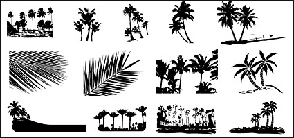 Palm Vector